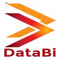 Databi Solutions