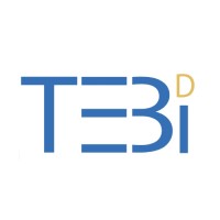 TEBi logo - Similar company to Cadensoft