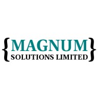 Magnum Solutions Ltd logo - Similar company to Magnum Solutions