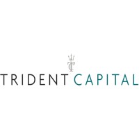 Trident Capital Ltd logo - Similar company to Uluntu Financial Technology