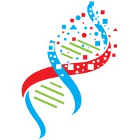 New Paradigm Applications logo - Similar company to Empowerful Life