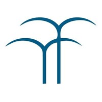 Vecchione & Partners