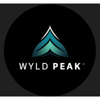 Wyld Peak logo - Similar company to Wc Group