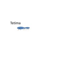 Tetima North America LLC logo - Similar company to The Origin Chapter
