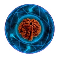 Deepak shinde logo - Similar company to Code Drift - A Learning Academy