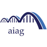 Aiag Asesores logo - Similar company to Pixis.Co