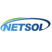 NETSOL CO LTD logo - Similar company to Mram Information System