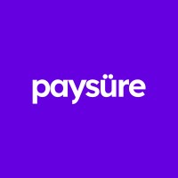 Paysure Technologies Limited logo - Similar company to Valuegate Consulting