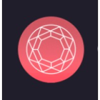 Opal logo - Similar company to Bundleconverge