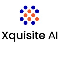 Xquisite AI logo - Similar company to Lapisai