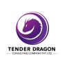 Tender Dragon Consulting Company Pvt Ltd logo - Similar company to Capsule Castle