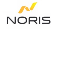 Noris logo - Similar company to Iriun
