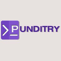 Punditry Tech Labs logo - Similar company to Siloplexus
