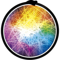 Psychedelic Insights logo - Similar company to Monica Mental Health Tech