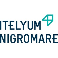 NIGROMARE S.r.l. logo - Similar company to Zero Latency Italia