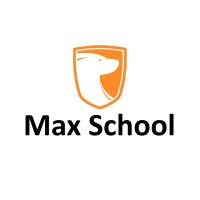 Max School logo - Similar company to Max School