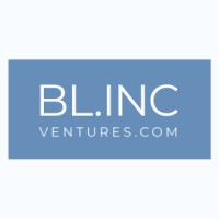 Blincventures.com logo - Similar company to Nepal Realistic Solution Pvt. Ltd