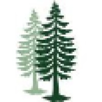 Fir Tree Partners logo - Similar company to Knickpoint Ventures