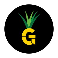 Grover Media logo - Similar company to Pro Web Analytics