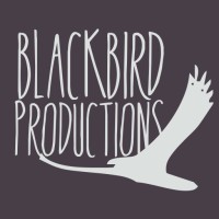 Blackbird Productions logo - Similar company to Probe Studios