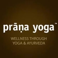 Prana Yoga logo - Similar company to Dunman Secondary School