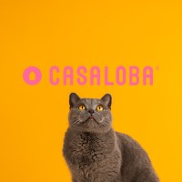 CASALOBA logo - Similar company to Dr.Hans-Peter Luippold