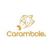 Carambole Tech Ltda logo - Similar company to Atitude Mídia Digital