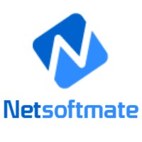 Netsoftmate logo - Similar company to Techvisions - مرئيات التقنية