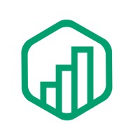 De Excel Specialist logo - Similar company to Dijkstratek B.V.