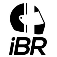 iBuildRacecars logo - Similar company to Revobo