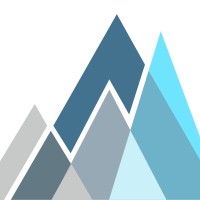 EDITED logo - Similar company to Login Vsi