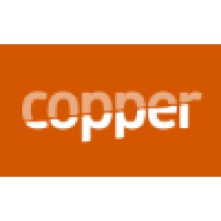 Copper logo - Similar company to Domain