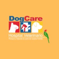 Hospital Veterinario DogCare Guatemala logo - Similar company to Bodega Veterinaria