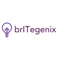 BrITegenix logo - Similar company to Digital Ignition Mx