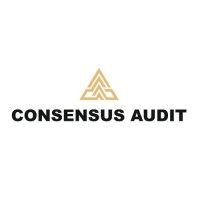 Consensus Audit logo - Similar company to Petros Hotel