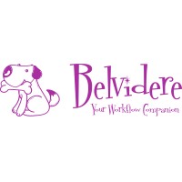 Belvidere Workflow logo - Similar company to Dispatchhealth Imaging - Dynamic Mobile Imaging