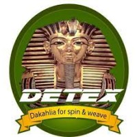 Detex Egypt logo - Similar company to Holding Company For Cotton And Textiles (Ctihc) - الشركة القابضة للقطن والغزل والنسيج