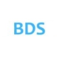 BDS logo - Similar company to Digi Web Trend