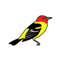 Western Tanager Asset Management logo - Similar company to Fircrest Partners