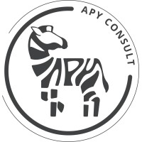 APY Consult logo - Similar company to Aventech