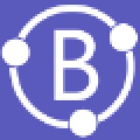 BrainShare Ltd