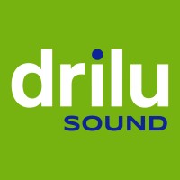 Drilu Sound logo - Similar company to Visions Immersive Experiences