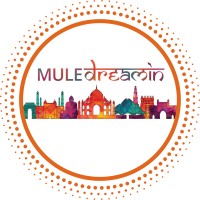 MuleDreamin logo - Similar company to Mulecraft Digital