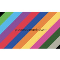 PPA logo - Similar company to Connect Driver Solutions - People, Fleet, Carbon & Mobility