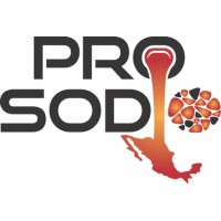 PROSODIO logo - Similar company to Dafe Advisors