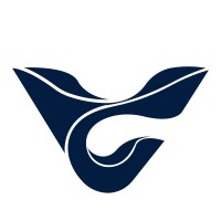 Vitrum Technologies logo - Similar company to Son-X Gmbh