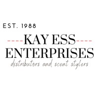 KAY ESS ENTERPRISES PTE LTD. logo - Similar company to Medsightai