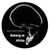 Bakeng Se Afrika (Bsa)