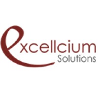 Excellcium Solutions logo - Similar company to Etude Adn