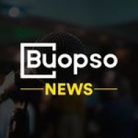 BUOPSO News logo - Similar company to Buopso - Business Operating Software